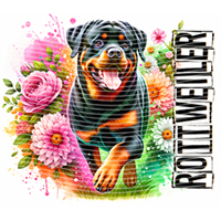 Animal Integration-DW 728